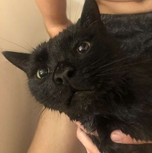 Meet your Posher, Gabe